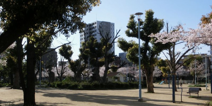 公園　天下茶屋公園（公園）まで210m