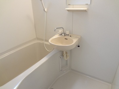 バス・シャワールーム　※室内写真は全て別部屋の参考写真です