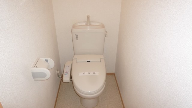 トイレ　落ち着いたトイレです※別号室の写真になります