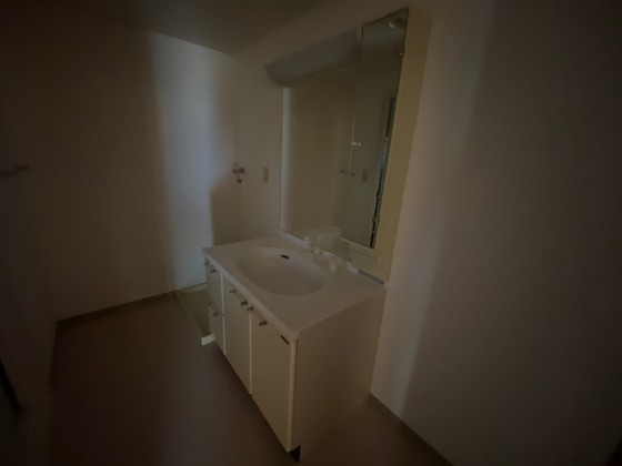 洗面設備　※別号室のお写真です。