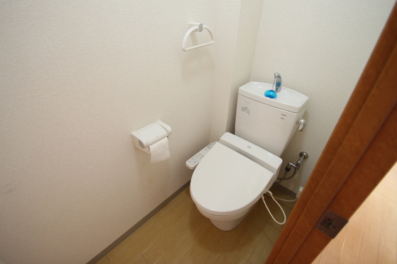 トイレ　他号室の写真です。