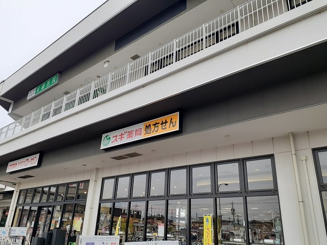 その他　スギ薬局まで450m