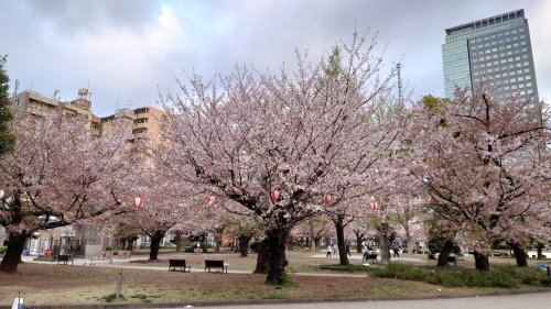 公園　錦糸公園（公園）まで1040m