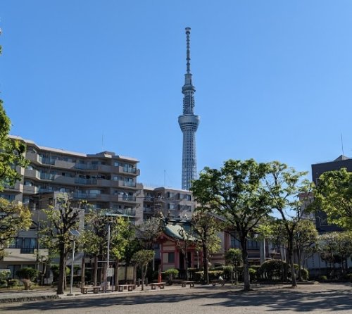 公園　若宮公園（公園）まで365m