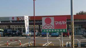 スーパー　Maruya(マルヤ) 沼南店（スーパー）まで497m