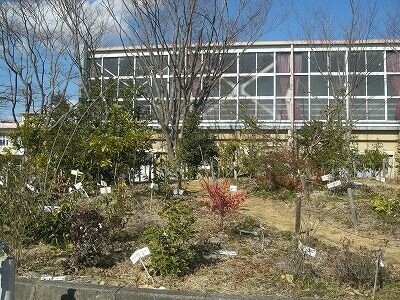 小学校　浜松市立豊岡小学校（小学校）まで3153m