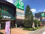 スーパー　サミット（スーパー）まで290m