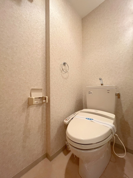 阪急宝塚線 三国駅 徒歩7分 10階建 築20年のトイレ写真