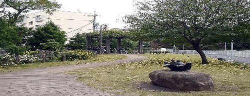 公園　弁天橋東緑地（公園）まで903m