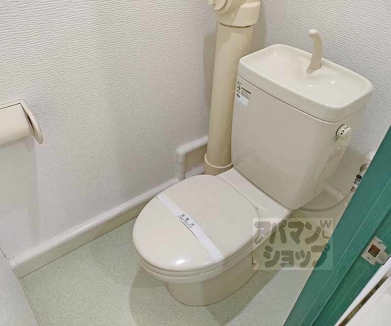 コーポラス大洋向島のトイレ写真