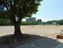 中学校　国立市立国立第二中学校（中学校）まで729m