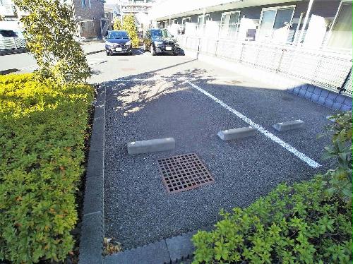 レオネクストコスモスのその他写真