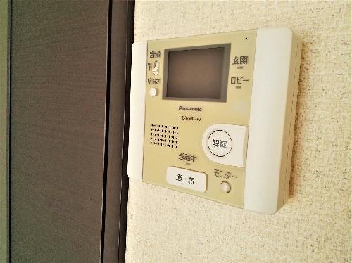レオネクストコスモスのその他写真