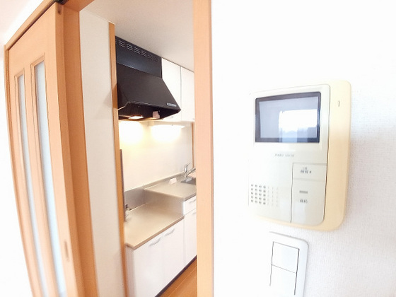 セキュリティ　他号室のお写真です
