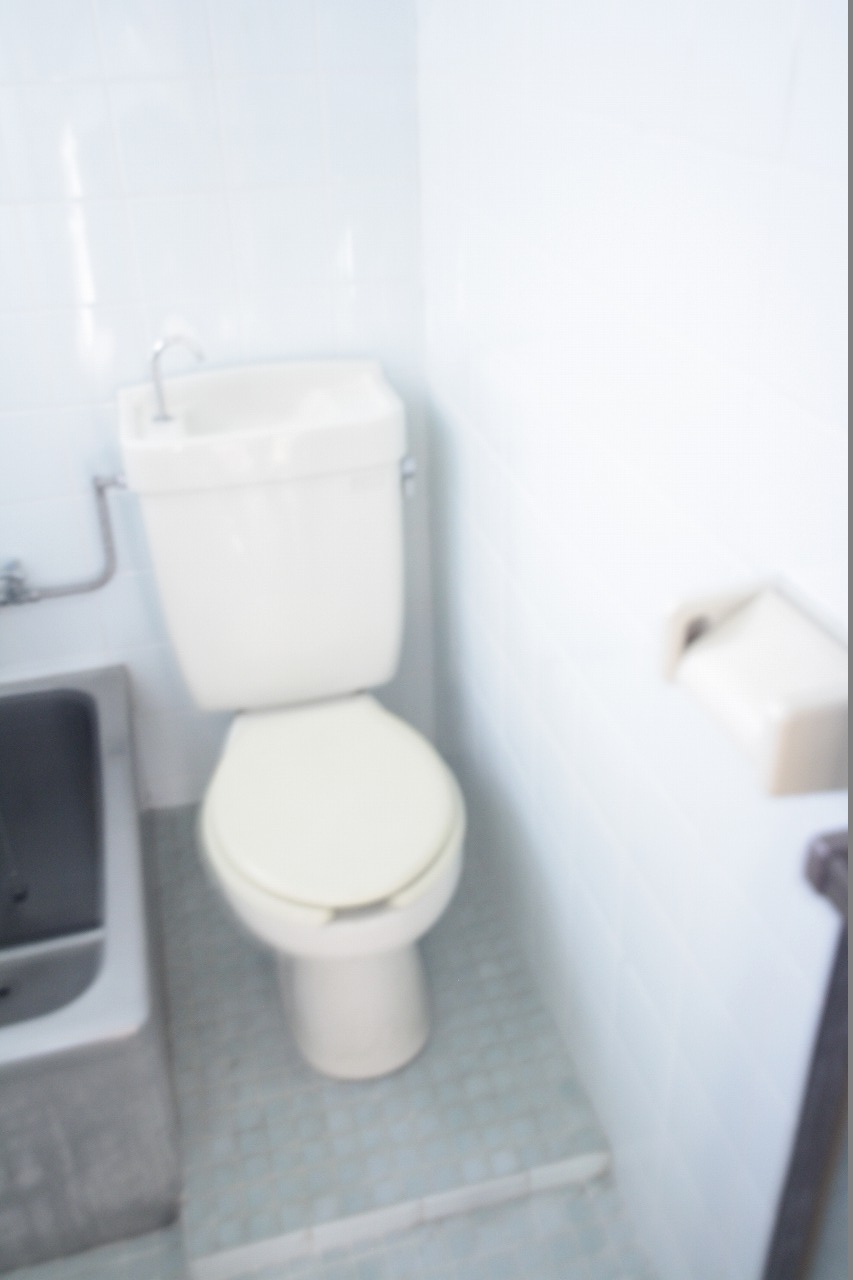 都営浅草線 西馬込駅 徒歩13分 2階建 築37年のトイレ写真