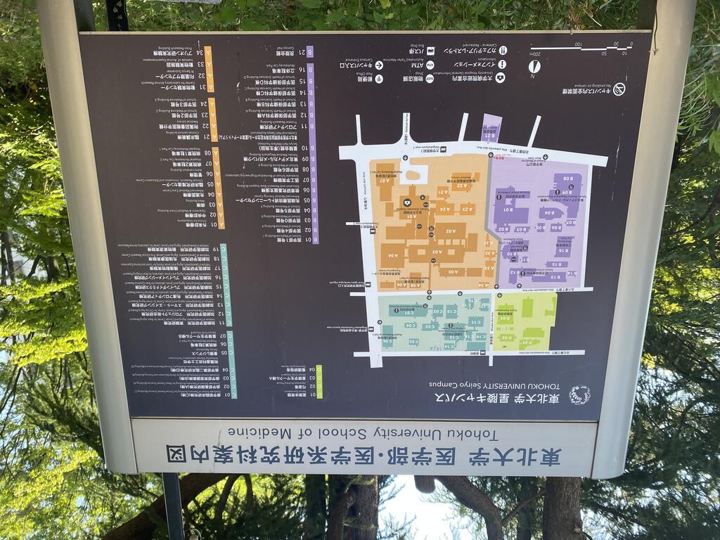 大学・短大　国立東北大学星陵キャンパス（大学・短大）まで263m