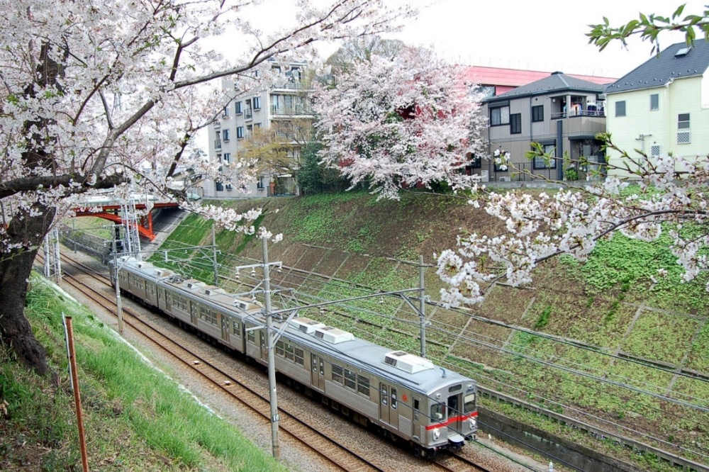 【世田谷区東玉川のマンションのその他】