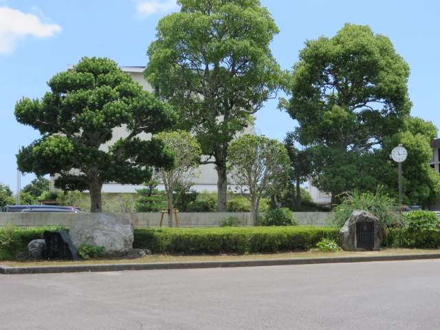 中学校　青島北中学校（中学校）まで648m