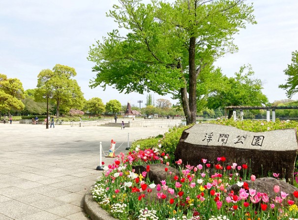 公園　舟渡公園（公園）まで559m