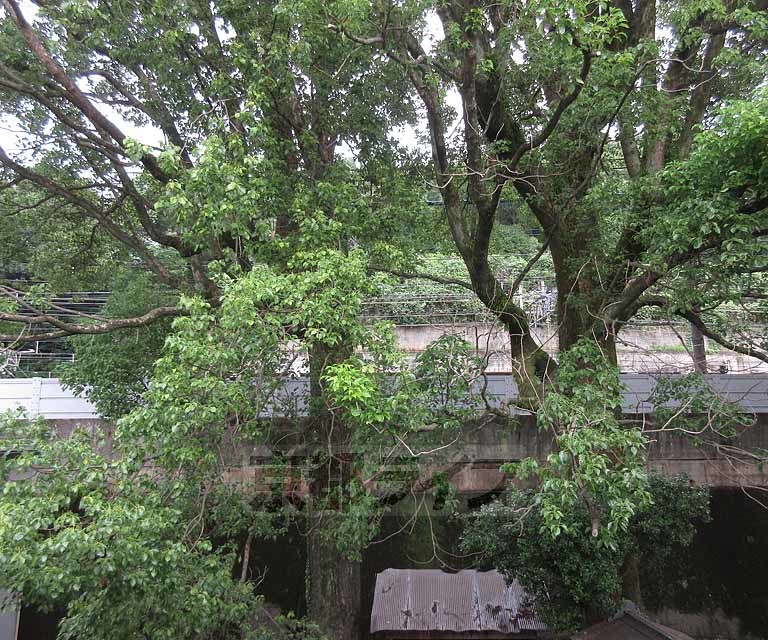 眺望　日当り良好