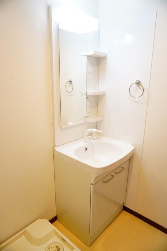 洗面設備　お掃除にも便利なシャワードレッサー