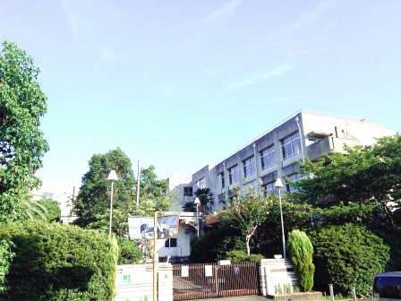 小学校　堺市立原山ひかり小学校（小学校）まで705m