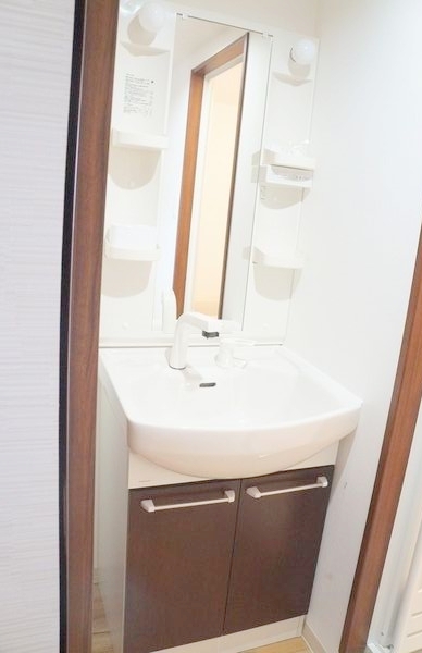 洗面設備　シャワードレッサー付きです。