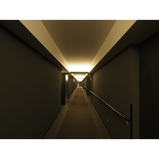 その他　高級感ある共用部