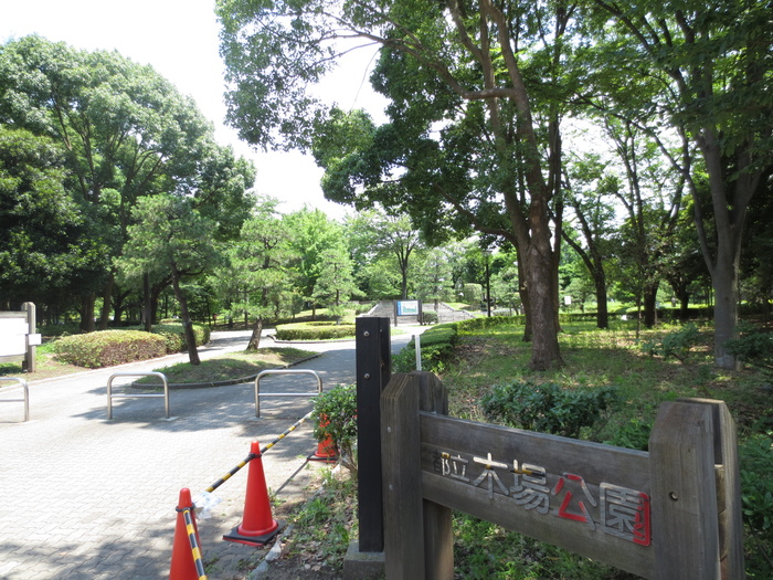 公園　木場公園（公園）まで1247m
