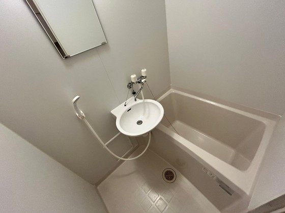 バス・シャワールーム　※別部屋の写真です