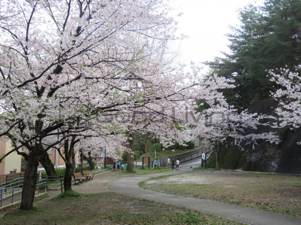 公園　祖原公園（公園）まで950m