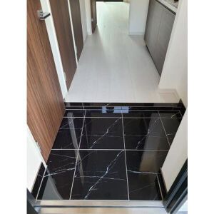 玄関　（別タイプ参考写真）KDXレジデンス池袋ウエスト　板橋区中丸