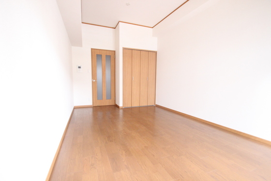 居室・リビング　※別部屋の写真です