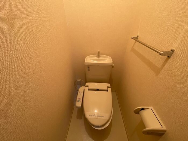 ＪＲ和歌山線 畠田駅 徒歩15分 2階建 築18年のトイレ写真