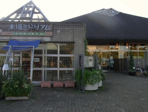 公園　木場公園都市緑化植物園（公園）まで569m