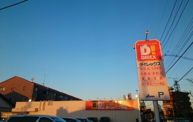 その他　ダイレックス三芳店（その他）まで550m