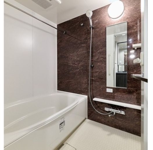 バス・シャワールーム　コンパクトで使いやすいお風呂です