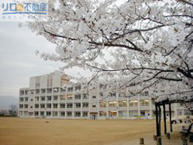 小学校　伊丹市立池尻小学校（小学校）まで562m