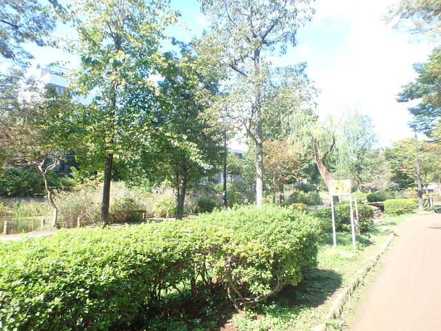 公園　大横川親水公園（公園）まで440m