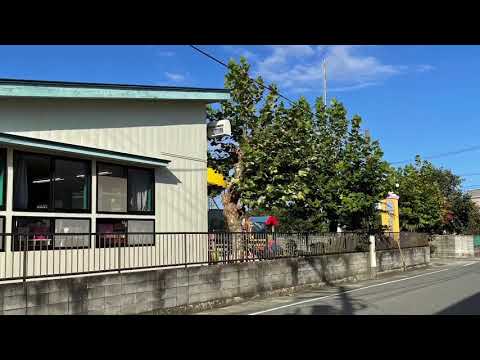 幼稚園・保育園　来迎保育園（幼稚園・保育園）まで664m