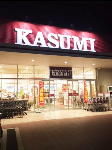 スーパー　カスミ 柏たなか駅前店（スーパー）まで1411m
