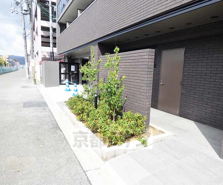 庭