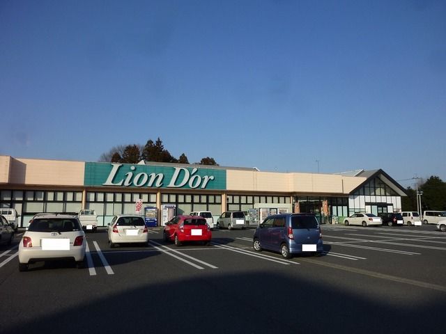 スーパー　リオン・ドール高根沢店（スーパー）まで480m