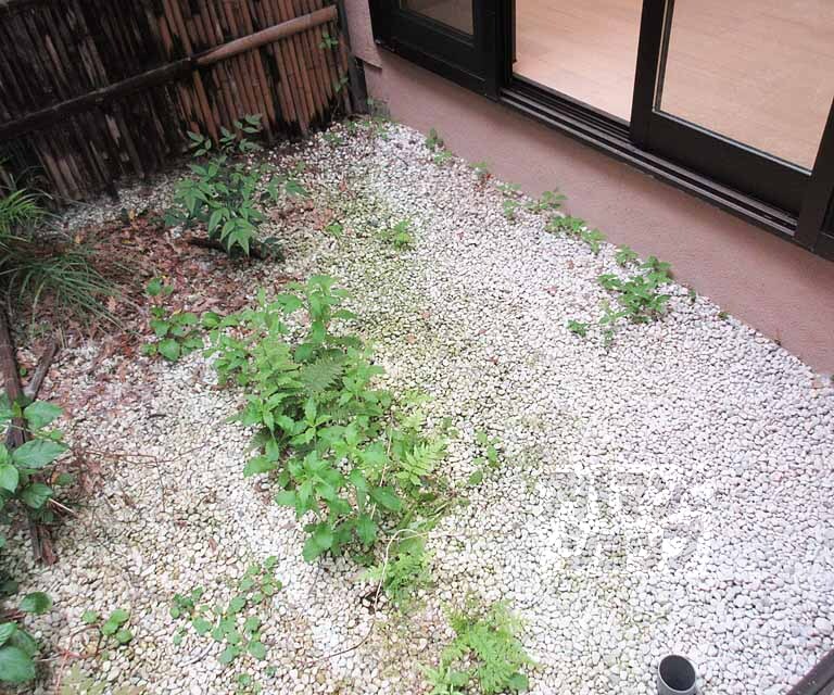 その他部屋・スペース　観葉植物など置くことができます