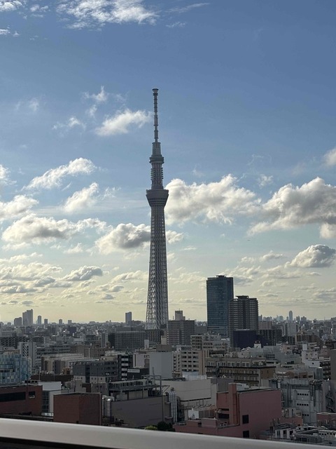 眺望　２０２５年１１月撮影