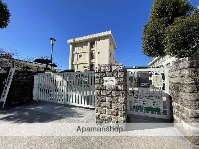 小学校　白島小学校（小学校）まで1487m