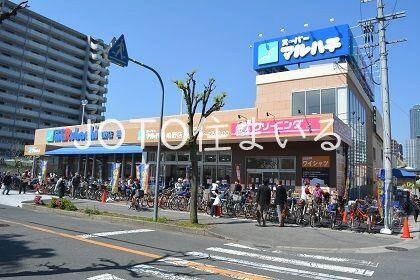 スーパー　スーパーマルハチ鴫野店（スーパー）まで485m