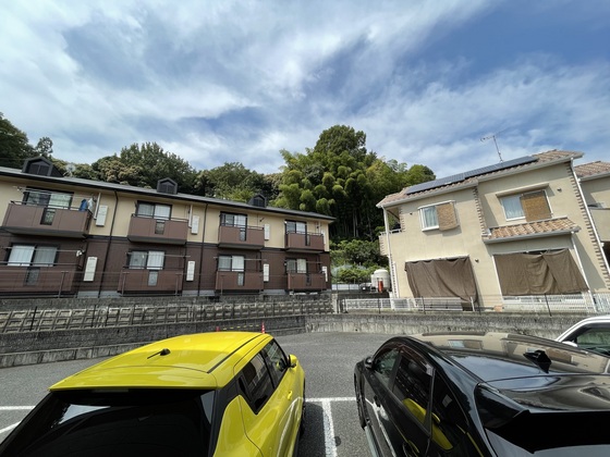 眺望　※別部屋の写真です
