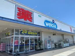 ドラックストア　ウエルシア 藤枝高洲店（ドラッグストア）まで642m