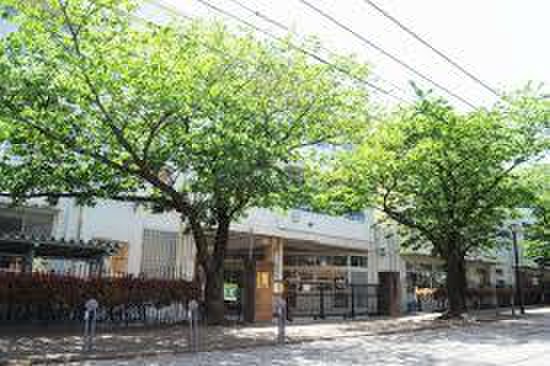 小学校　横浜市立南台小学校（小学校）まで456m
